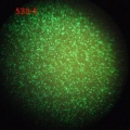 Thumbnail for version as of 14:58, 20 January 2012