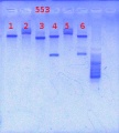 Thumbnail for version as of 14:02, 10 May 2013