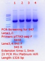 Thumbnail for version as of 16:37, 20 March 2018