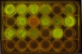 Thumbnail for version as of 10:48, 20 September 2014