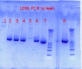 Thumbnail for version as of 10:29, 27 November 2012