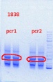 Thumbnail for version as of 13:30, 9 September 2013