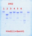 Thumbnail for version as of 14:10, 16 December 2013