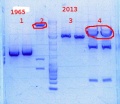 Thumbnail for version as of 11:52, 30 January 2014