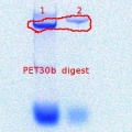 Thumbnail for version as of 10:00, 27 September 2011