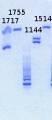 Thumbnail for version as of 17:12, 11 June 2013