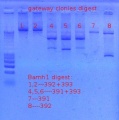Thumbnail for version as of 08:44, 31 October 2011