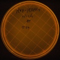Thumbnail for version as of 10:23, 18 February 2011