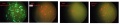 Thumbnail for version as of 16:11, 19 September 2012