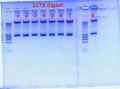 Thumbnail for version as of 11:36, 16 April 2012
