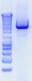Thumbnail for version as of 14:26, 26 June 2012