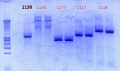 Thumbnail for version as of 16:57, 6 December 2012
