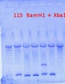 Thumbnail for version as of 15:25, 27 August 2012