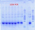 Thumbnail for version as of 10:31, 28 August 2012