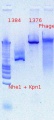 Thumbnail for version as of 18:18, 4 October 2012