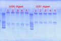 Thumbnail for version as of 12:46, 21 March 2013