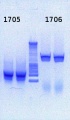 Thumbnail for version as of 16:34, 22 March 2013