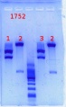 Thumbnail for version as of 12:52, 30 May 2013