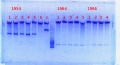 Thumbnail for version as of 11:10, 28 January 2014