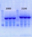 Thumbnail for version as of 17:16, 6 March 2014