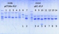Thumbnail for version as of 18:12, 6 March 2014