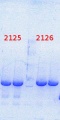 Thumbnail for version as of 08:54, 28 March 2014