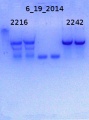 Thumbnail for version as of 16:10, 7 July 2014