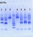 Thumbnail for version as of 14:21, 17 June 2013