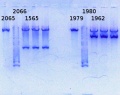 Thumbnail for version as of 18:06, 6 March 2014