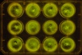 Thumbnail for version as of 11:37, 28 December 2011