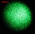 Thumbnail for version as of 15:33, 21 February 2012