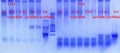 Thumbnail for version as of 17:13, 9 January 2013