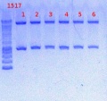Thumbnail for version as of 14:47, 21 December 2012
