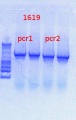 Thumbnail for version as of 09:51, 27 June 2013