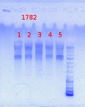 Thumbnail for version as of 12:21, 15 July 2013