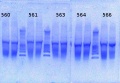 Thumbnail for version as of 12:01, 7 May 2013