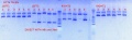 Thumbnail for version as of 12:05, 12 December 2012
