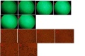 Thumbnail for version as of 15:34, 27 November 2013