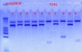 Thumbnail for version as of 17:11, 19 November 2012