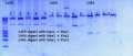 Thumbnail for version as of 17:27, 26 November 2012