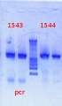 Thumbnail for version as of 14:18, 15 January 2013