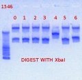 Thumbnail for version as of 14:44, 6 February 2013