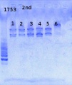 Thumbnail for version as of 11:54, 31 May 2013