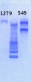 Thumbnail for version as of 16:43, 5 February 2013