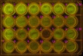 Thumbnail for version as of 15:39, 8 July 2014