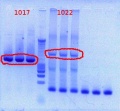Thumbnail for version as of 11:15, 10 April 2012