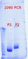 Thumbnail for version as of 09:13, 8 May 2012