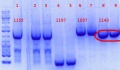 Thumbnail for version as of 14:02, 7 June 2012