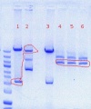 Thumbnail for version as of 15:18, 3 June 2012