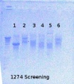 Thumbnail for version as of 15:30, 6 August 2012